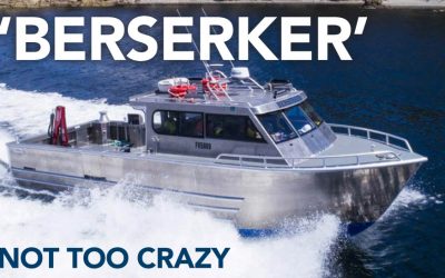 Berserker: Not Too Crazy