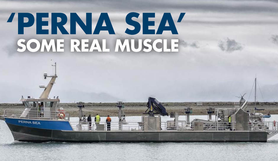 Perna Sea: Some Real Muscle